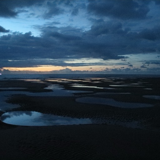 Tidal Pools at Night
